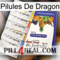Dragon Pills 11